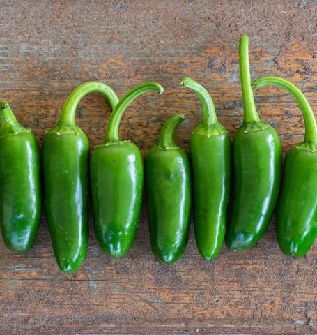 PEPPER Jalapeno